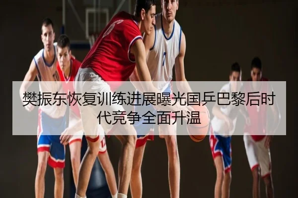 樊振东恢复训练进展曝光国乒巴黎后时代竞争全面升温